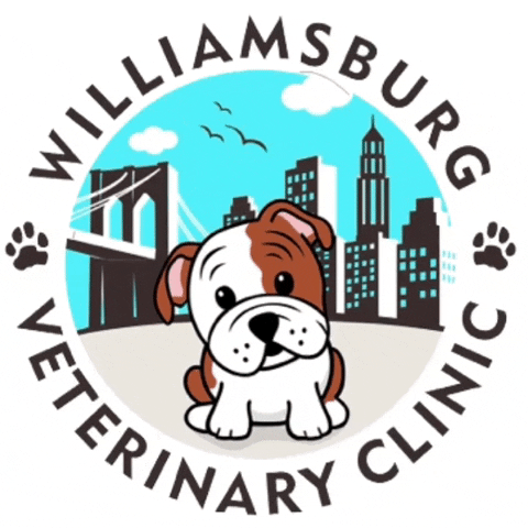 Dogs Puppy GIF by Williamsburgvets