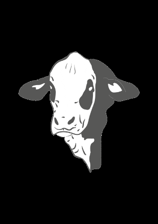 GIF by ABA