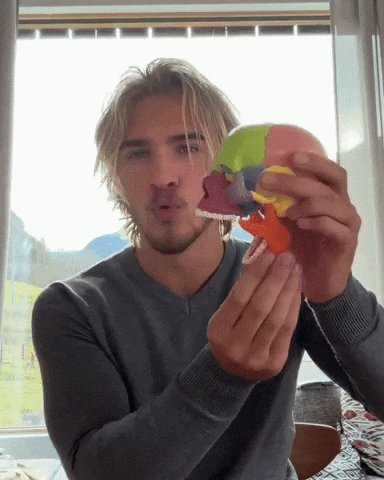 Funny GIF