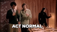 Acting Normal GIFs - Find & Share on GIPHY