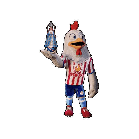 Paraguay Albirroja Sticker by Pechugon