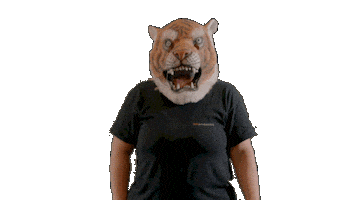 Fun Team Sticker by bnlproductions