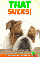 Ga Ga Lol GIF by PetJuvenate - PJ