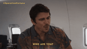 Movie gif. Kaan Urgancioglu as Casa in Operation Fortune sits on a private plane. He has a worried look on his face as he gestures over with his hand, saying, “Who are you?”