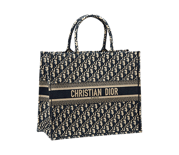 sac transparent dior