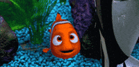 real-nemo-dory-ag9LVCPdksh56