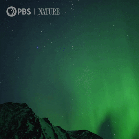 Northern Lights Space GIF by Nature on PBS