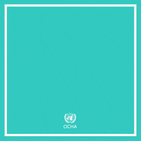 Ocha GIF by The UN Office for the Coordination of Humanitarian Affairs (OCHA)