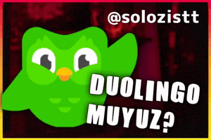 Duo Lingo GIF