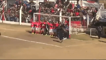 thomblalin  GIF