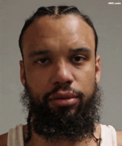 Dillon Brooks Jail GIF