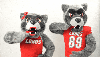 New Mexico Lucy GIF by UNM