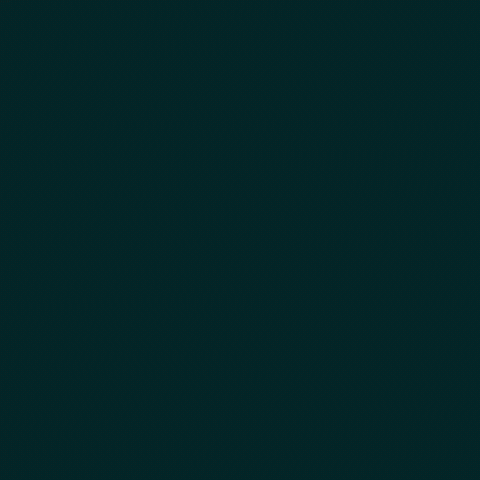 اليوم الوطني السعودي GIF by MBC Group