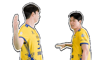 Kb스타즈 Sticker by KB STARS VOLLEYBALL CLUB