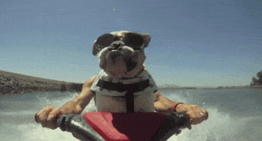 GIF