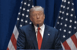 Donald Trump Point GIF