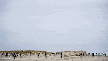 Trouw Terschelling GIF