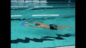 isivaqueiro  GIF