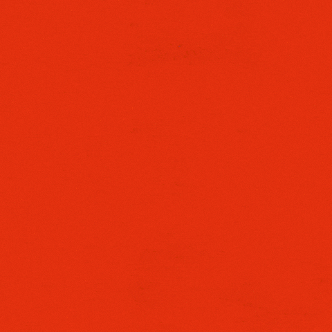 GIF by 4th Estate Books