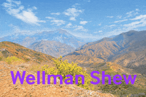 Wellman Shew GIF
