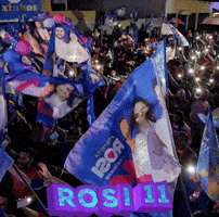 Rosi Vassouras GIF