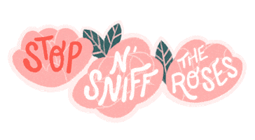 Dog Fetch Sticker by Ollie Social