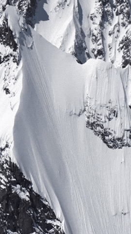 Mammut GIF