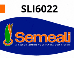 GIF by semealisementes