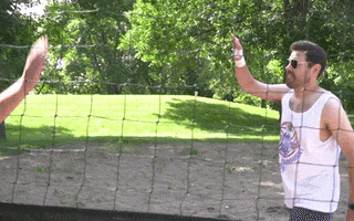 Volleyball GIF