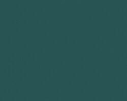 MacerataOggi GIF