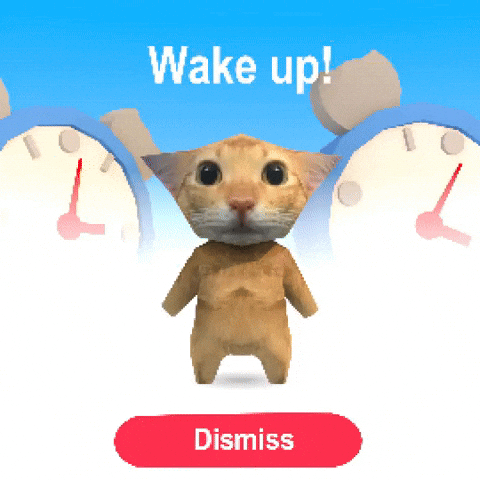 Dismiss Wake Up GIF