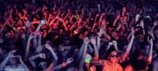 party GIF