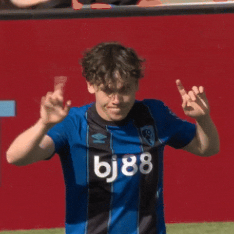 Premier League No GIF by AFC Bournemouth