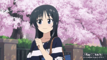 soraaml  GIF