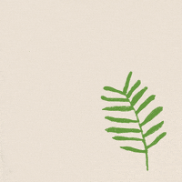 Palm Sunday GIF Palm Sunday GIF