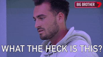 What The Heck GIF by Big Brother Australia