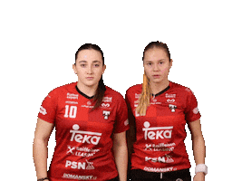 Floorball Salibandy Sticker by Tatran Stresovice