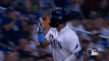Sport You Cant See Me GIF by MLB