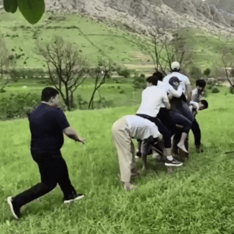 Xislat GIF