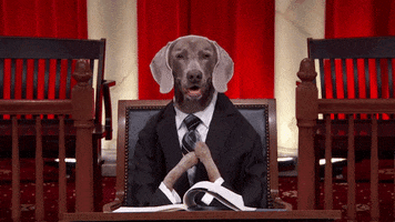 last week tonight dog GIF