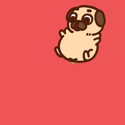 good animation sketching is important like this cute pooting pug