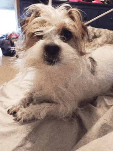 True Beauty Marks GIF
