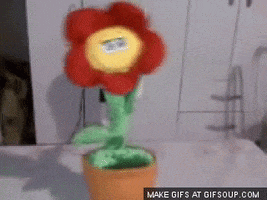 200.gif