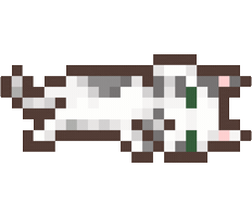 Cat Kitty Sticker
