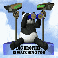Big Brother Panda GIF