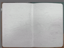 Drawing GIF by cam