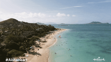 Hawaii Coastline GIF by Hallmark Channel
