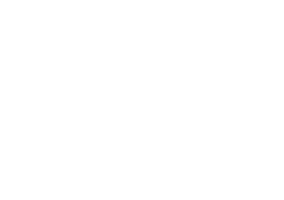 Sonicloom Sticker