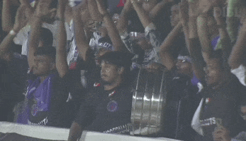 Mohun Bagan Crowd GIF by Indian Super League