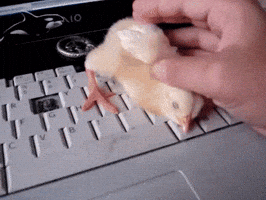 200.gif?cid=fc005b0868365aa430f46fd0ec03630cbaf851ec23bff3c5&rid=200.gif&ct=g